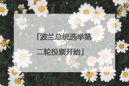波兰总统选举第二轮投票开始