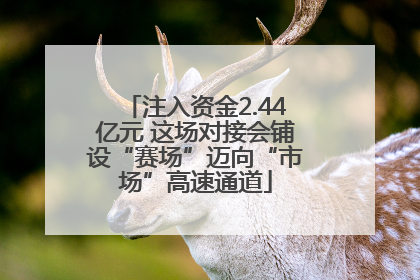 注入资金2.44亿元 这场对接会铺设“赛场”迈向“市场”高速通道