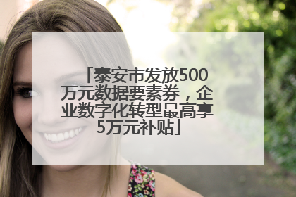 泰安市发放500万元数据要素券，企业数字化转型最高享5万元补贴