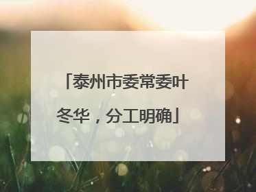 泰州市委常委叶冬华，分工明确