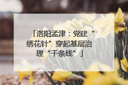 洛阳孟津：党建“绣花针”穿起基层治理“千条线”