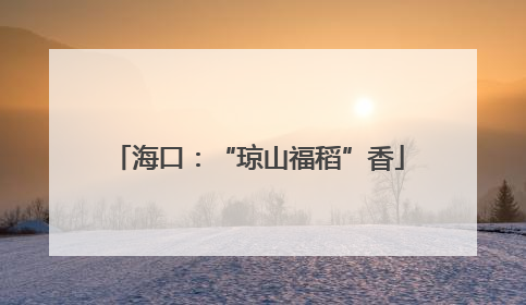海口：“琼山福稻”香