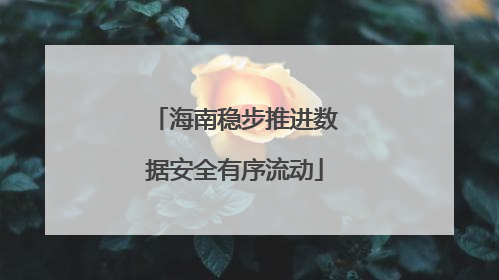 海南稳步推进数据安全有序流动