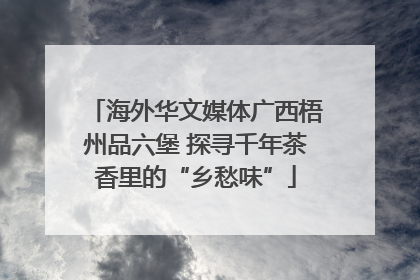 海外华文媒体广西梧州品六堡 探寻千年茶香里的“乡愁味”