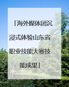 海外媒体团沉浸式体验山东省职业技能大赛技能成果