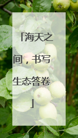 海天之间，书写生态答卷