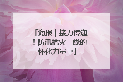海报｜接力传递！防汛抗灾一线的怀化力量→