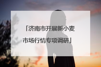 济南市开展新小麦市场行情专项调研