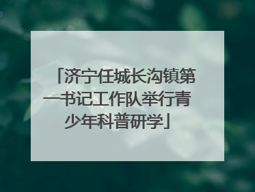 济宁任城长沟镇第一书记工作队举行青少年科普研学