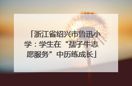 浙江省绍兴市鲁迅小学：学生在“孺子牛志愿服务”中历练成长