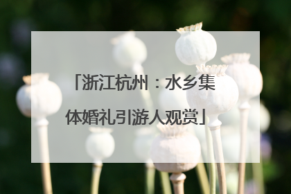 浙江杭州：水乡集体婚礼引游人观赏