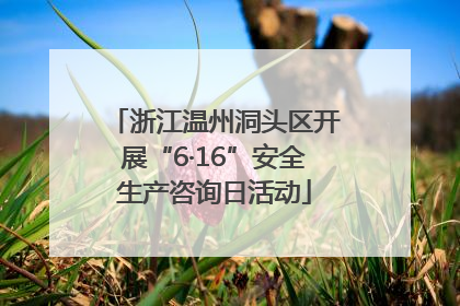 浙江温州洞头区开展“6·16”安全生产咨询日活动