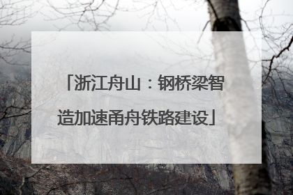 浙江舟山：钢桥梁智造加速甬舟铁路建设