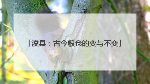 浚县：古今粮仓的变与不变