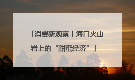 消费新观察丨海口火山岩上的“甜蜜经济”