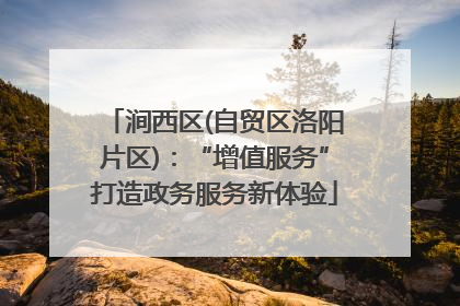 涧西区(自贸区洛阳片区)：“增值服务”打造政务服务新体验
