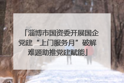 淄博市国资委开展国企党建“上门服务月”破解难题助推党建赋能