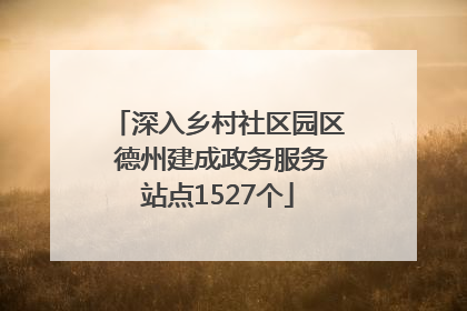深入乡村社区园区 德州建成政务服务站点1527个