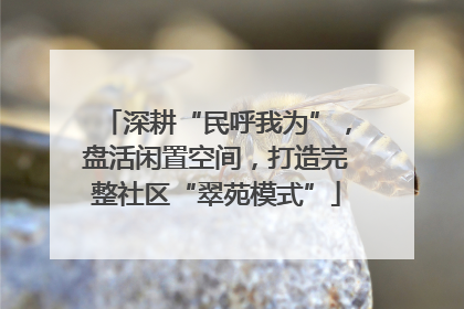深耕“民呼我为”，盘活闲置空间，打造完整社区“翠苑模式”