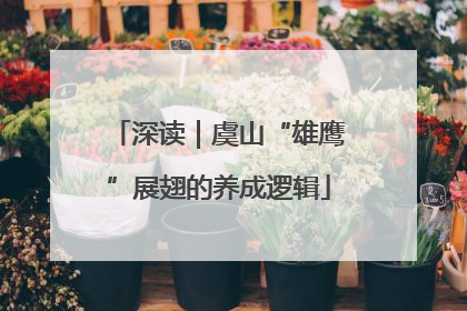 深读｜虞山“雄鹰”展翅的养成逻辑