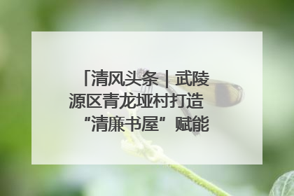 清风头条｜武陵源区青龙垭村打造“清廉书屋”赋能乡村振兴新风尚