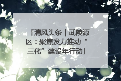 清风头条｜武陵源区：聚焦发力推动“三化”建设年行动