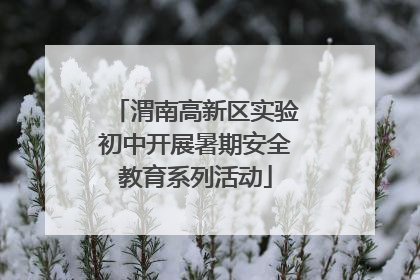 渭南高新区实验初中开展暑期安全教育系列活动