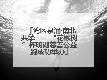 湾区泉涌·南北共擎——“花楸树”杯明湖慈善公益跑成功举办
