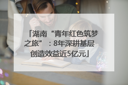 湖南“青年红色筑梦之旅”：8年深耕基层创造效益近5亿元
