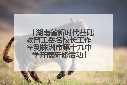 湖南省新时代基础教育王岳名校长工作室到株洲市第十九中学开展研修活动