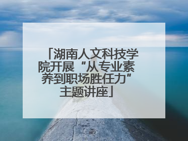 湖南人文科技学院开展“从专业素养到职场胜任力”主题讲座