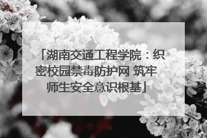 湖南交通工程学院：织密校园禁毒防护网 筑牢师生安全意识根基