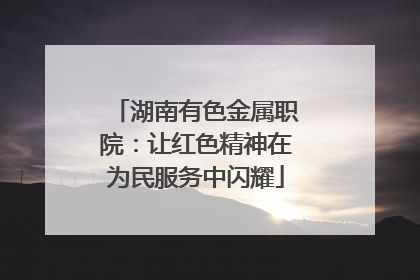湖南有色金属职院：让红色精神在为民服务中闪耀