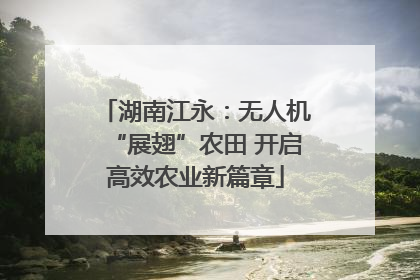 湖南江永：无人机“展翅”农田 开启高效农业新篇章