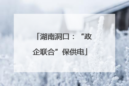 湖南洞口：“政企联合”保供电