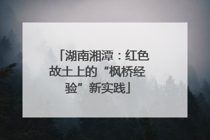湖南湘潭：红色故土上的“枫桥经验”新实践