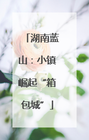 湖南蓝山：小镇崛起“箱包城”