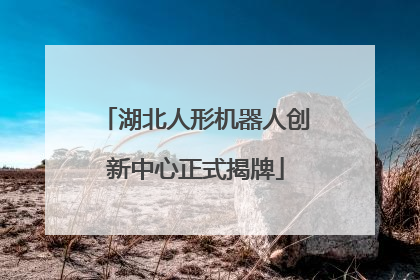 湖北人形机器人创新中心正式揭牌