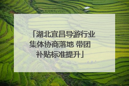 湖北宜昌导游行业集体协商落地 带团补贴标准提升