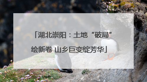 湖北崇阳：土地“破局”绘新卷 山乡巨变绽芳华