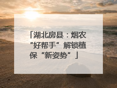 湖北房县：烟农“好帮手”解锁植保“新姿势”