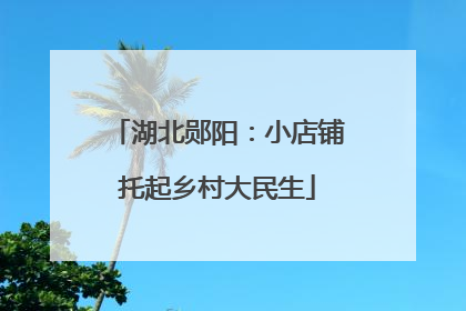 湖北郧阳：小店铺托起乡村大民生