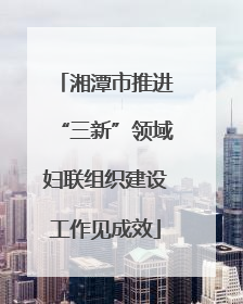 湘潭市推进“三新”领域妇联组织建设工作见成效