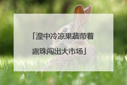 湟中冷凉果蔬带着露珠闯出大市场