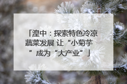 湟中：探索特色冷凉蔬菜发展 让“小菊芋”成为“大产业”