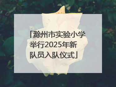 滁州市实验小学举行2025年新队员入队仪式
