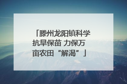 滕州龙阳镇科学抗旱保苗 力保万亩农田“解渴”
