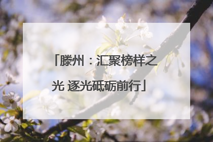滕州：汇聚榜样之光 逐光砥砺前行
