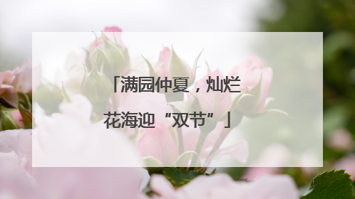 满园仲夏，灿烂花海迎“双节”