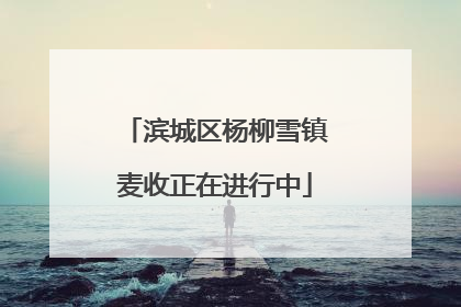 滨城区杨柳雪镇麦收正在进行中